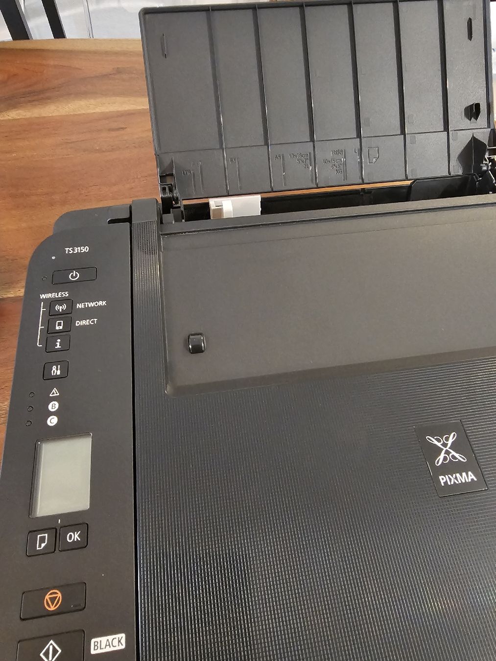 Canon Stampanti: Canon TS3150 - mit Tinte – Usato da Schlieren venduto da fabischn 2