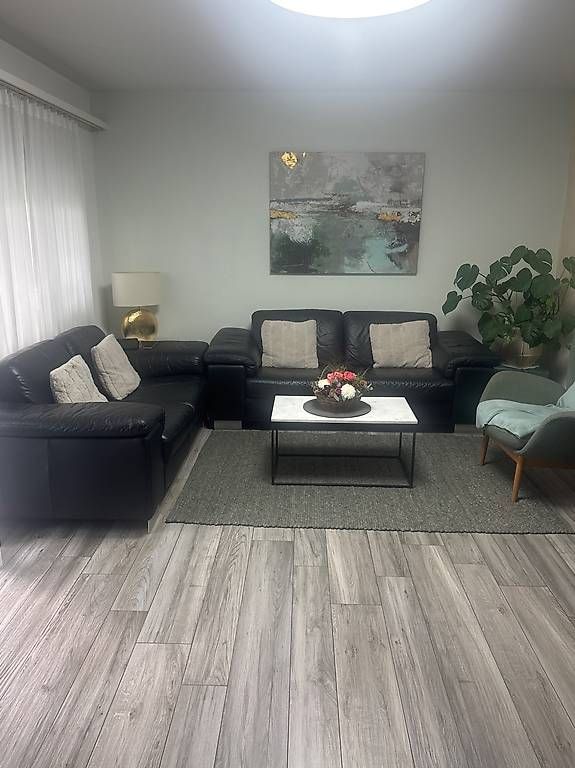 Sofas: Modernes Leder Sofa. – Gebraucht aus Wetzikon ZH von ros_jz5x