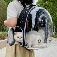 🎯 NEU Transparenter 3D-Transportbeutel für Katze