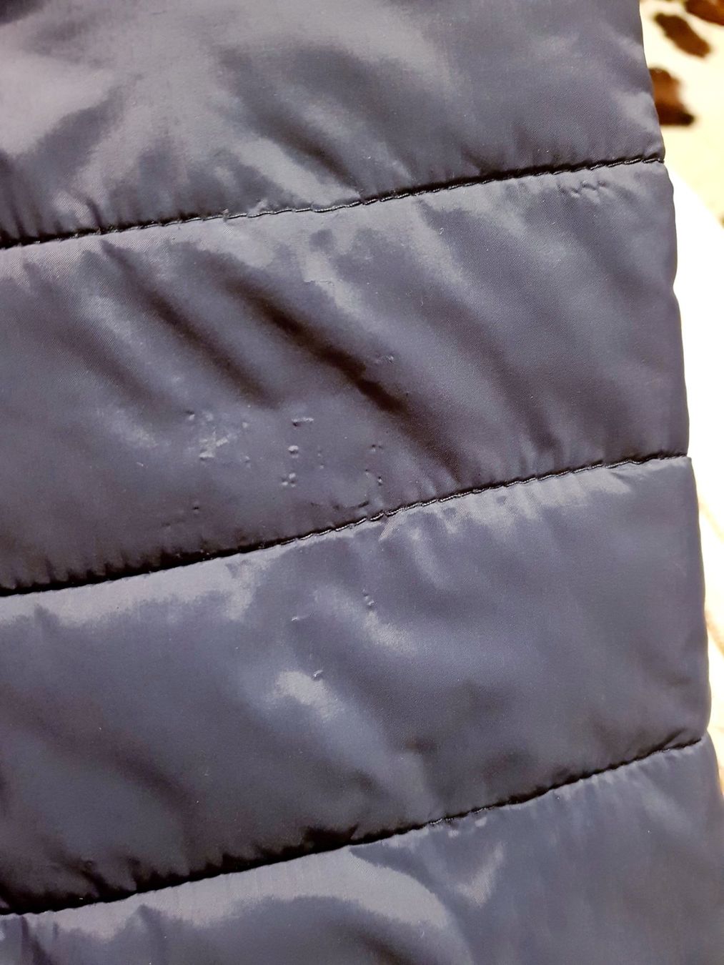 Superdry Giacche: Superdry gesteppte Jacke Gr.S – Usato da Gwatt (Thun) venduto da umwelt-brocki 5