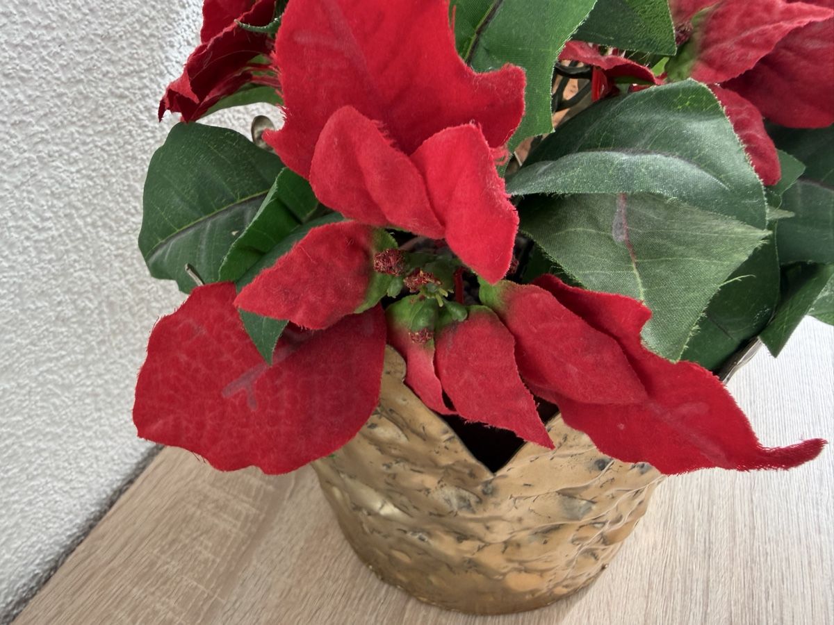 Tutte le decorazioni: Deco Weihnachtsstern Kunstblumen – Nuovo (secondo la descrizione) da Bettlach venduto da Tradenet100 3
