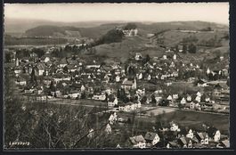 Lenzburg, Gesamtansicht aus der Vogelsch