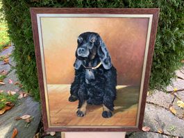 Cocker Spaniel von Eugen Pfister