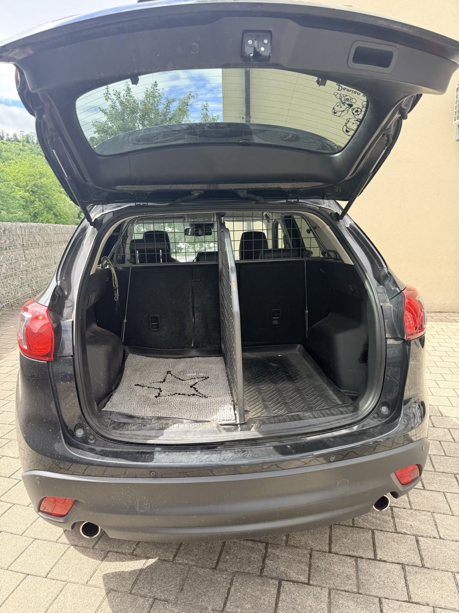 Gabbie, trasporto & Sicurezza: Hundetrenngitter Travall – Usato da Breitenbach venduto da Mastrolindo 3