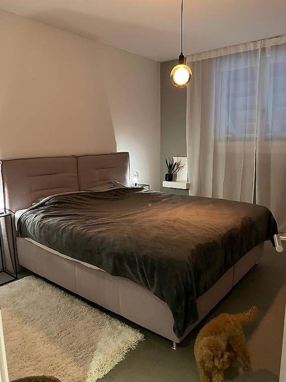 Pfister Letti: Boxspringbett XXL Lutz ohne Matratze – Usato da Winterthur venduto da pabe91 1