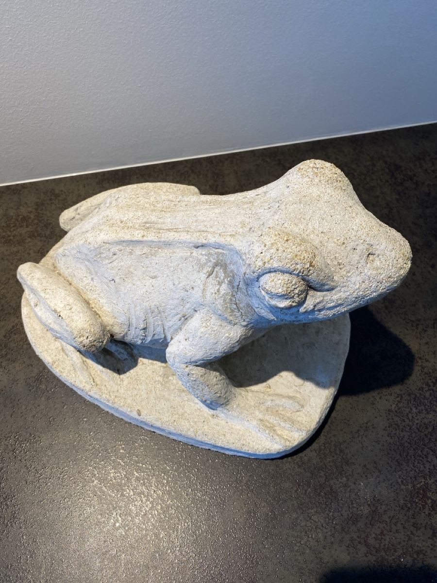 Sculture & Statue: Concrete frog – Usato da Glis venduto da Rhonevalley 3