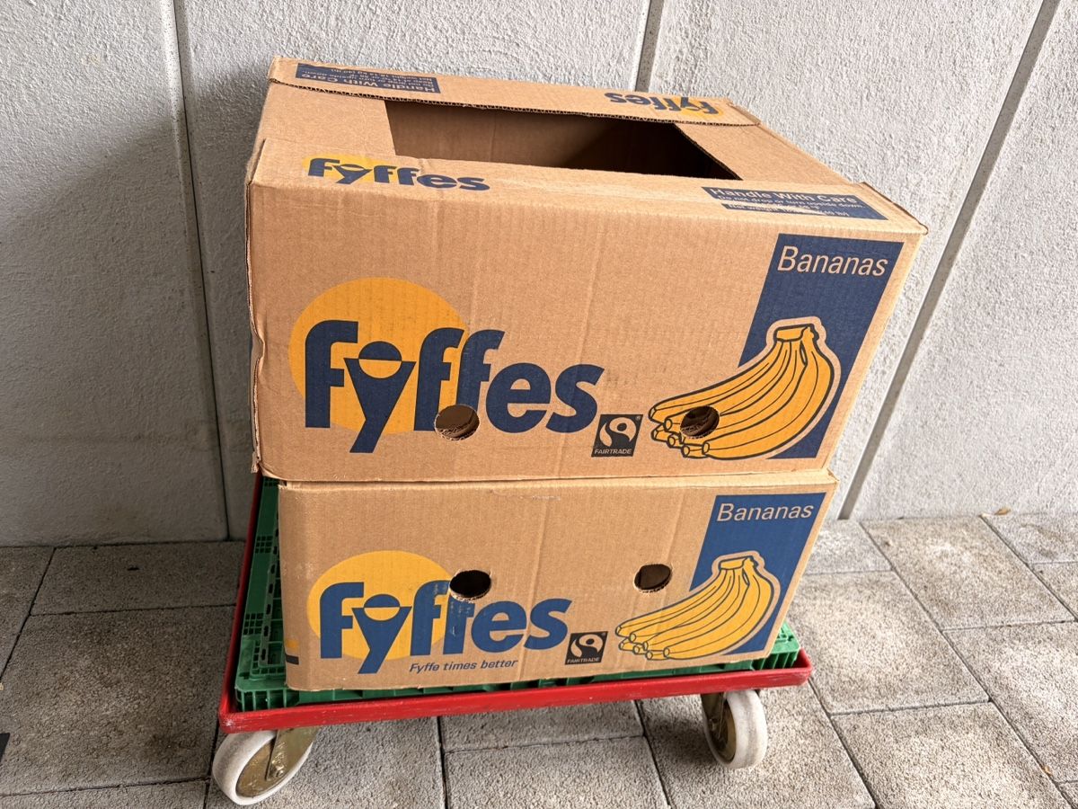 Kartons: 2 Bananenkartons – Gebraucht aus Rüdtligen von Levin_8