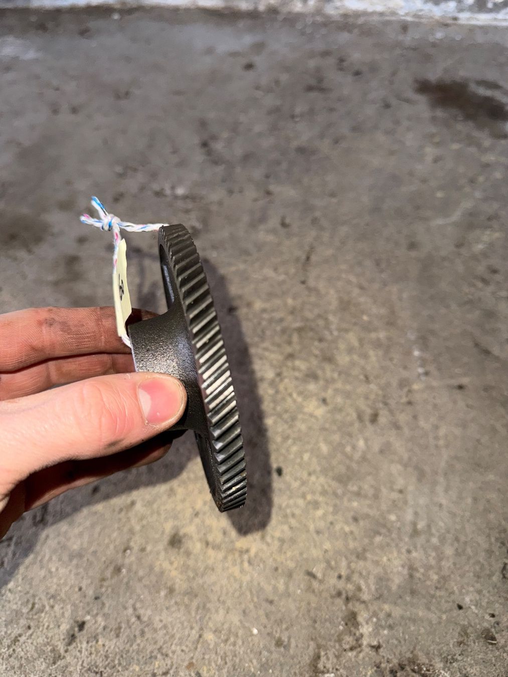 Sachs Parti ricambio per ciclomotori: Sachs 503 Mofa Getrieberad – Usato da Fahrni b. Thun venduto da berger_tuning34 1