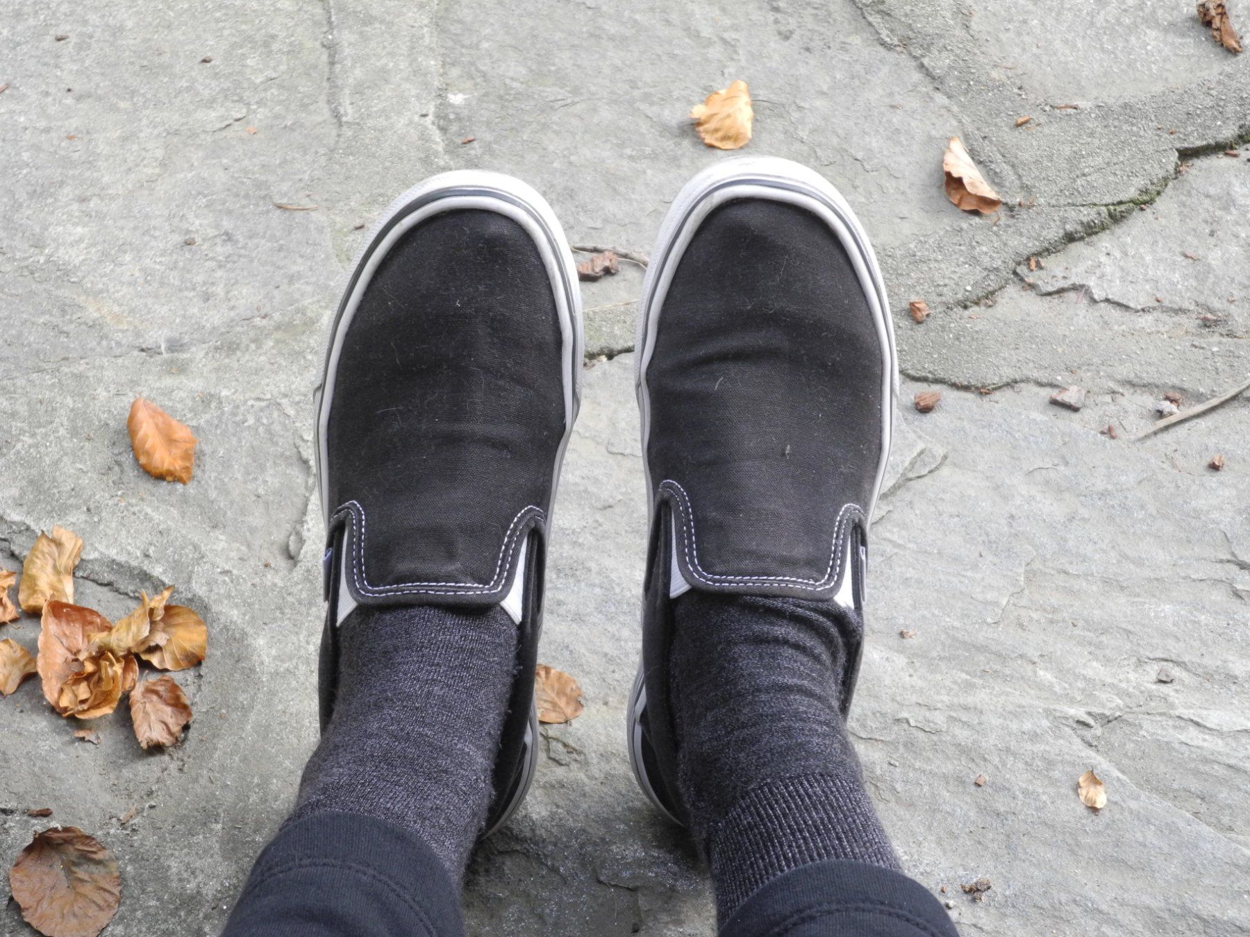 Vans Herrenschuhe: Vans sneakers 38 never used – Neu (gemäss Beschreibung) aus Bellinzona von Samirablank