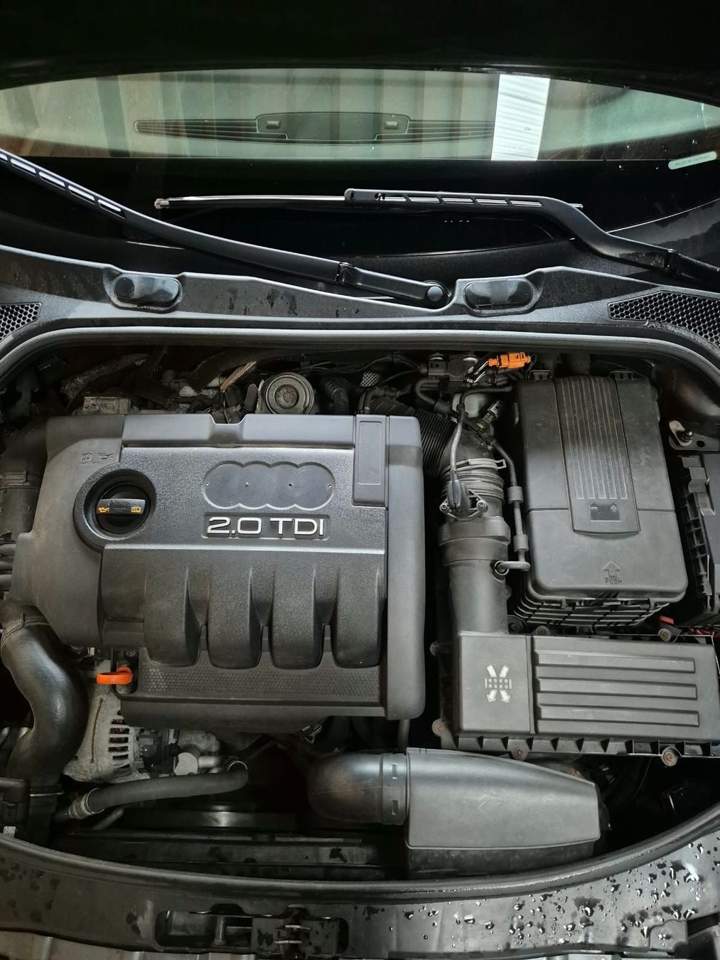 Audi Autos: Audi A3 2.0 TDI QUATTRO – Defekt aus Mont-Soleil von nels1 4