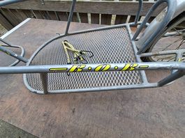 Bob Yak Veloanhänger