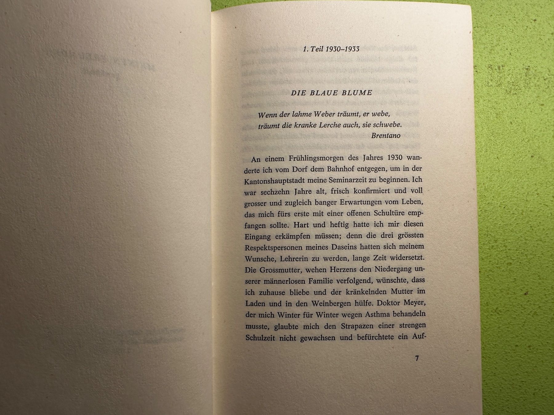 Libri: Ruth Blum: Die grauen Steine. – Usato da Zürich venduto da allp 3