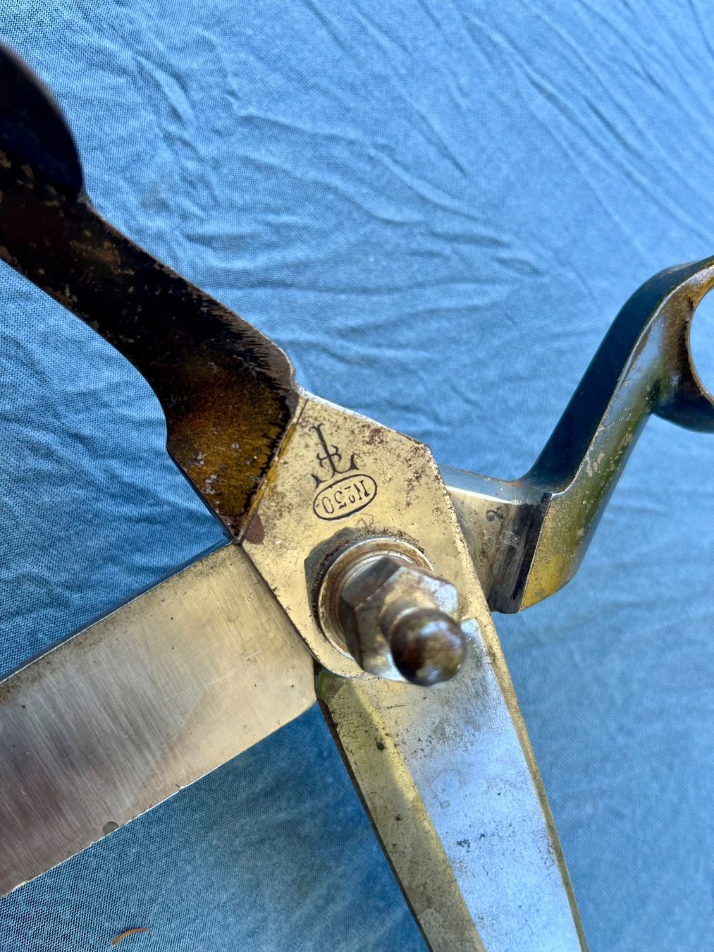 Tutti gli attrezzi: Zuschnittschere 37cm Eichenberger (vintage) – Usato da Nassenwil venduto da Swissorion 2