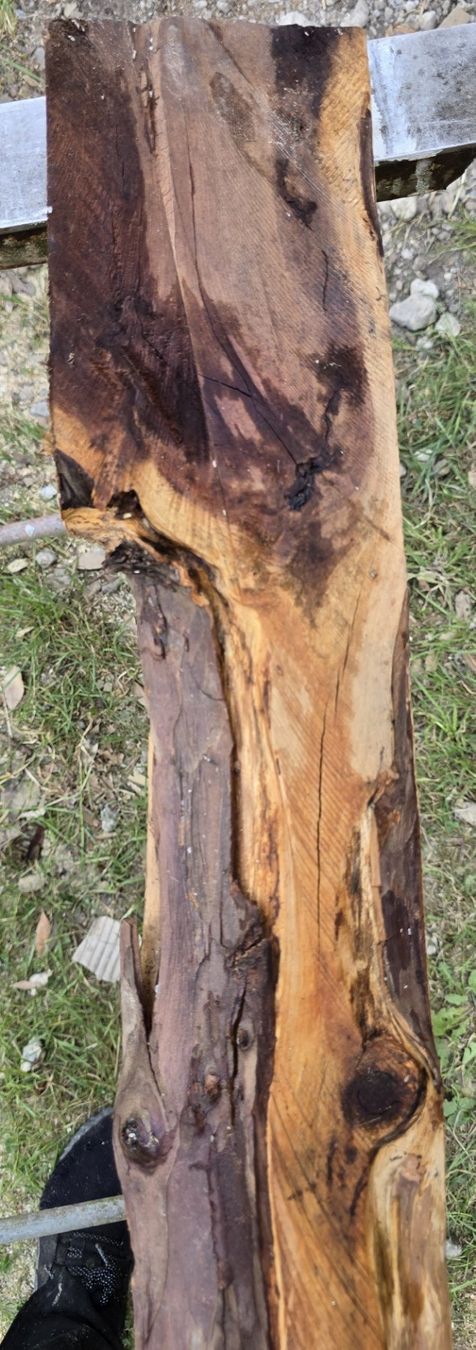 Holzartikel: Altes Holzbrett  – Gebraucht aus Rorschacherberg von snOOpydOg11 5