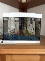 30 Aquarium Komplettset - Ideal für Einsteiger! Top Zustand