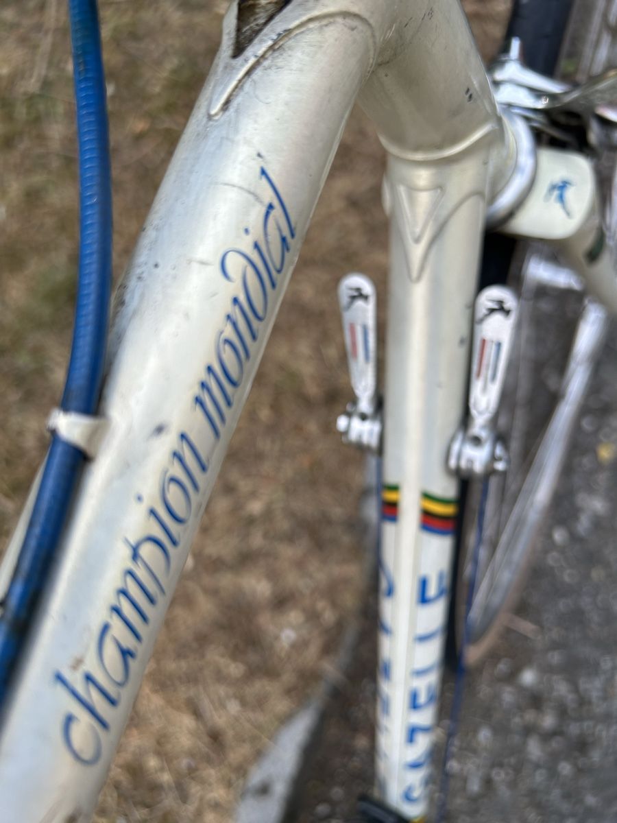 Gazelle Vélos: champion mondial Gazelle  – D'occasion à Egerkingen par G1970B 3