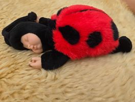 Marienkäfer Puppe, kuschelig, neuwertig, für kleine Kids