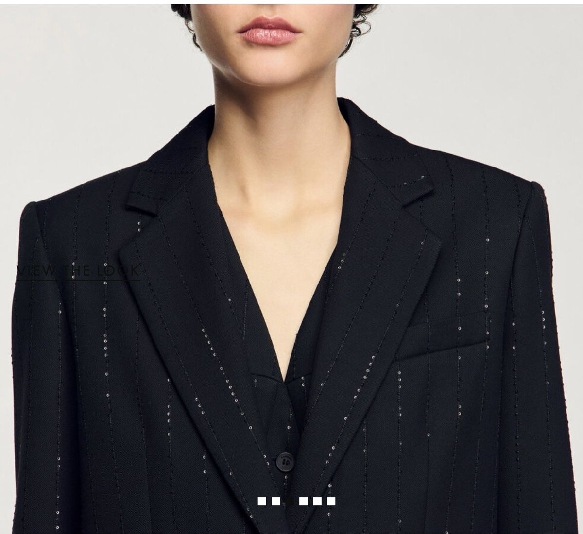 Sandro Giacche: Sandro Blazer mit Pailetten, FR 38 – Nuovo (secondo la descrizione) da Zürich venduto da fre_2w65 1