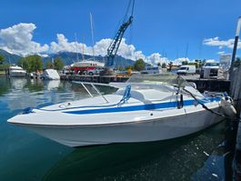 Arcoa 530