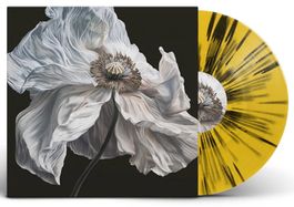 QUICKSAND LP - Bring on The Psychics LIMITED TO 500 RevHQ