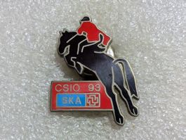 Ansteckpin 4: CSIO