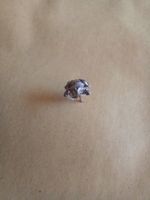 Ohrring Frosch