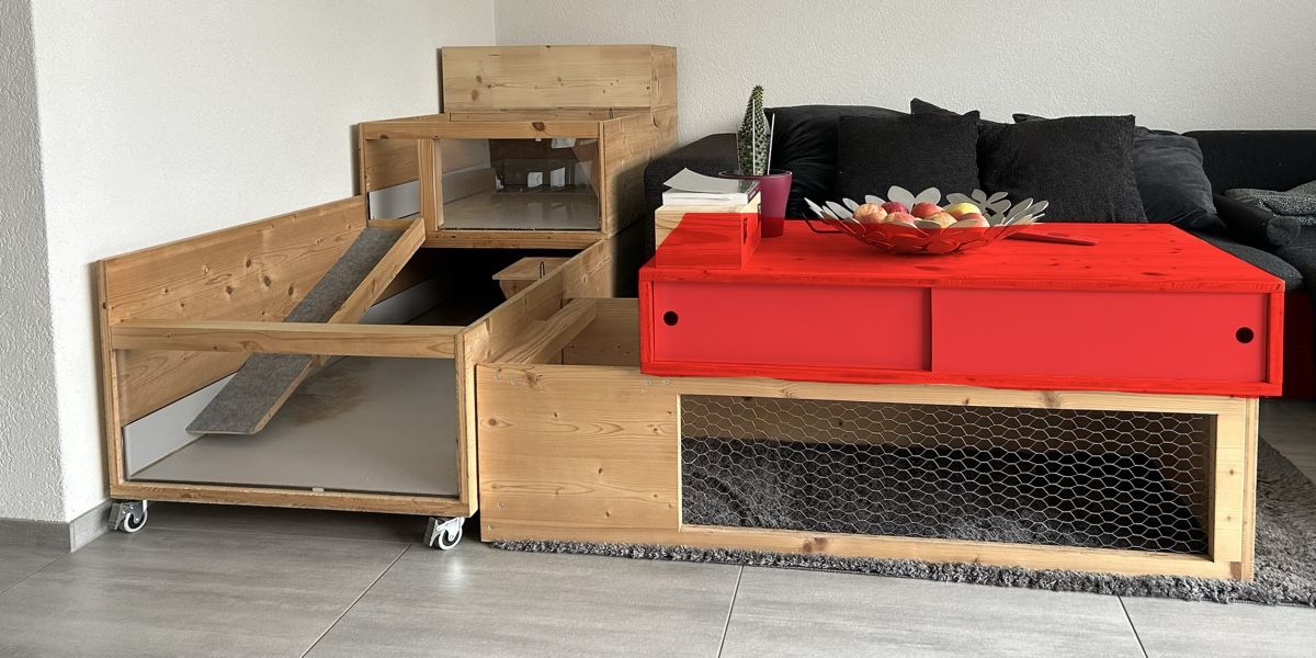 Käfige, Transport & Sicherheit: Selbstgebauter Meerschweinchenstall mit Plexiglasfront – Gebraucht aus Diegten von chesch.b