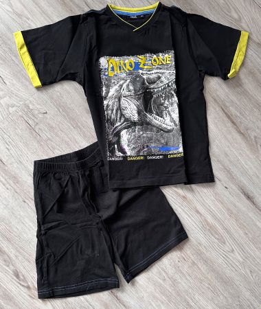 Gr 128 Pyjama Set Hose Shirt „DINO ZONE“ TOP