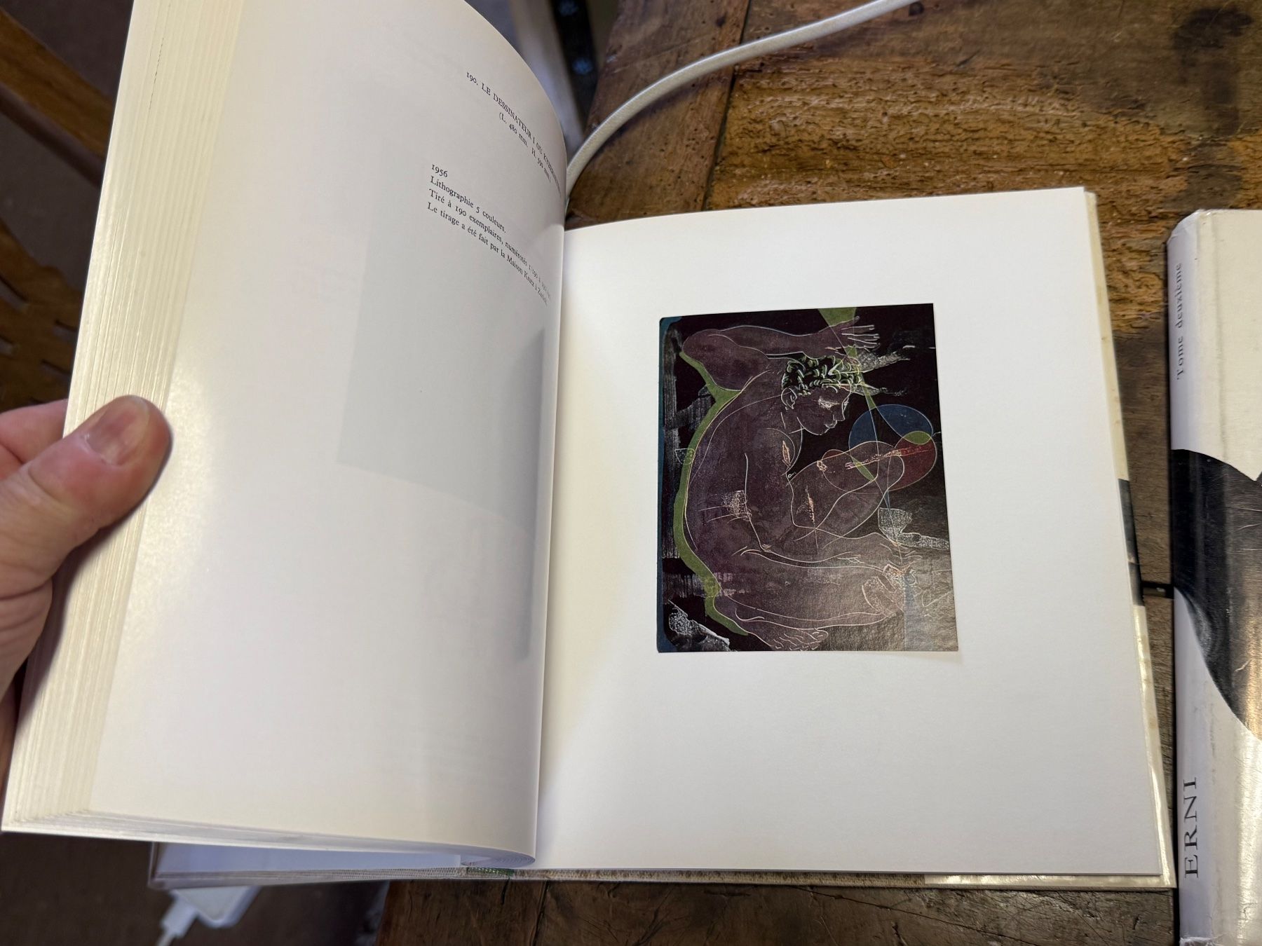 Libri: ERNI Hans Pierre CAILLER 2 Bände – Usato da Bern venduto da Jwpm66 6