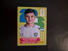 Panini WM 26 UZB 9