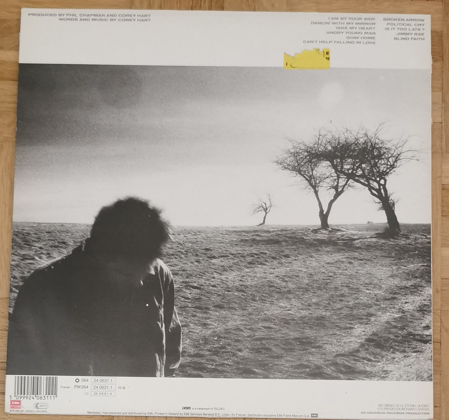 Dischi in vinile: Corey Hart - Fields of Fire - Schallplatte – Usato da Hochfelden venduto da Stburri0 4
