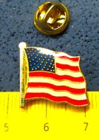 USA FLAGGE PIN GLASIERT