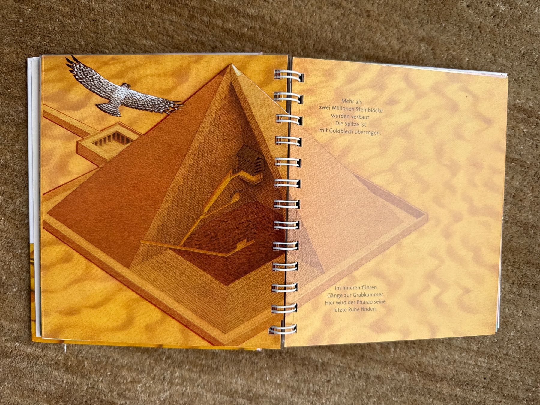 Bücher: Meyers - Die Pyramide – Gebraucht aus Aarau von Kilauea 4