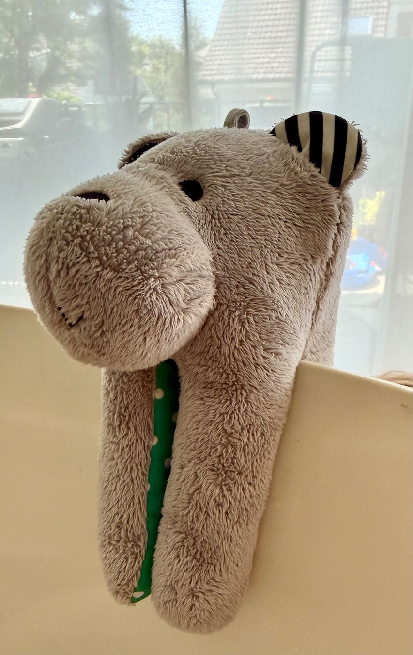 Giocattoli: Whisbear The Humming Bear – Usato da Meilen venduto da agn_5f8r 1