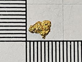 Natürliches Schweizer Gold Nugget