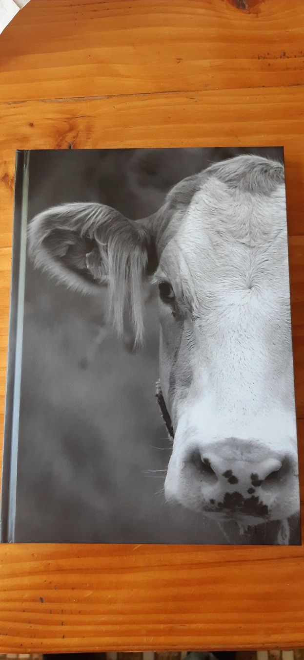 Schreibblöcke: Notizbuch mit Kuhmotiv – Neu (gemäss Beschreibung) aus Doppleschwand von Sandrafritz