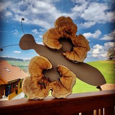 Profile image of Treeart-1