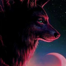 Profile image of iva_ll8j