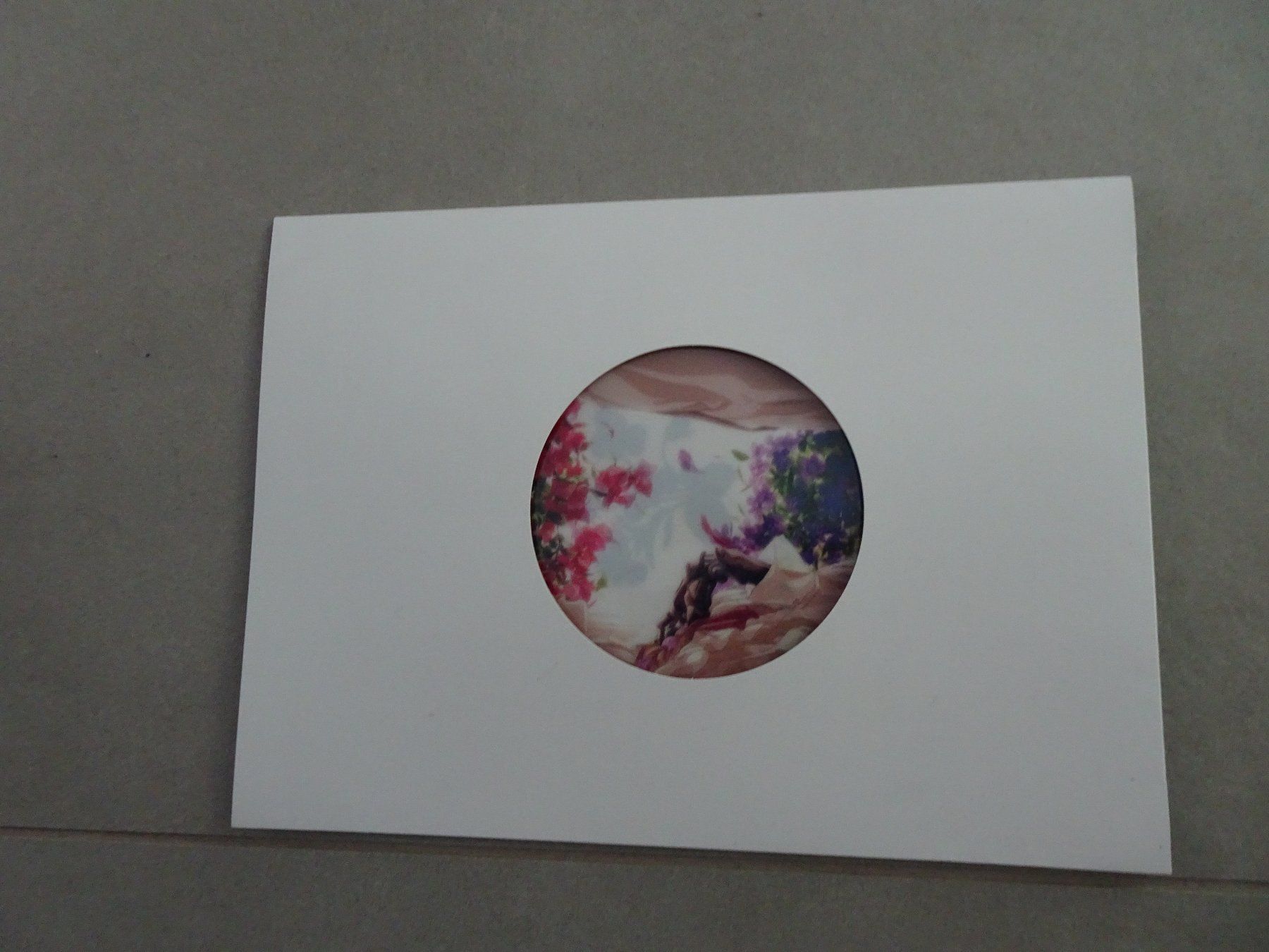 Pflanzen & Samen: Violet Evergarden Schutzmappe – Neu und originalverpackt aus Bern von Maronn 2