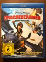 Drachenzähmen leicht gemacht