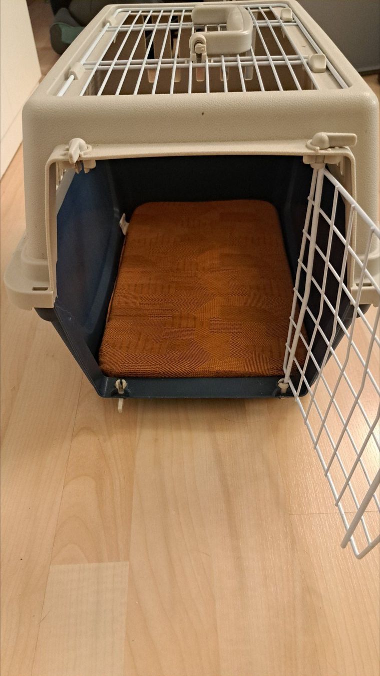 Gabbie, trasporto & Sicurezza: Transportbox Haustier gebraucht mit Matte Grösse M – Usato da Russikon venduto da Oelga 1