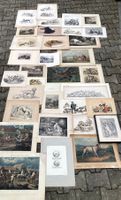 🌟XL Sammlung antike Hunde Stiche Radierungen koloriert 🌟