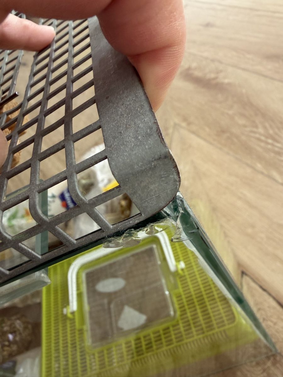 Terrario: Terrarium mit Gitterabdeckung  – Usato da Laupen ZH venduto da Elti2017 2