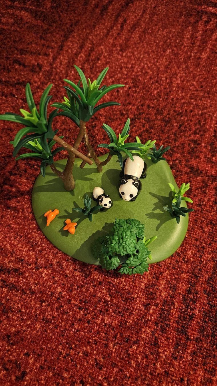 Playmobil Giocattoli: Playmobil Pandabären 3241 – Usato da Rudolfstetten venduto da Hoppel17
