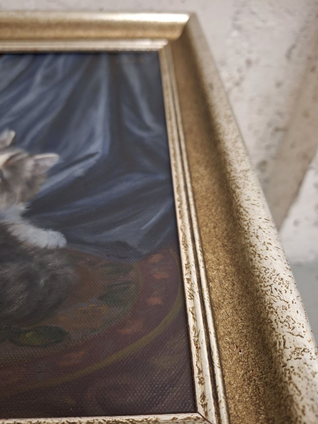 Dipinti: Edles Katzengemälde von B.Flury – Usato da Unterägeri venduto da Altgoldverkauf 2