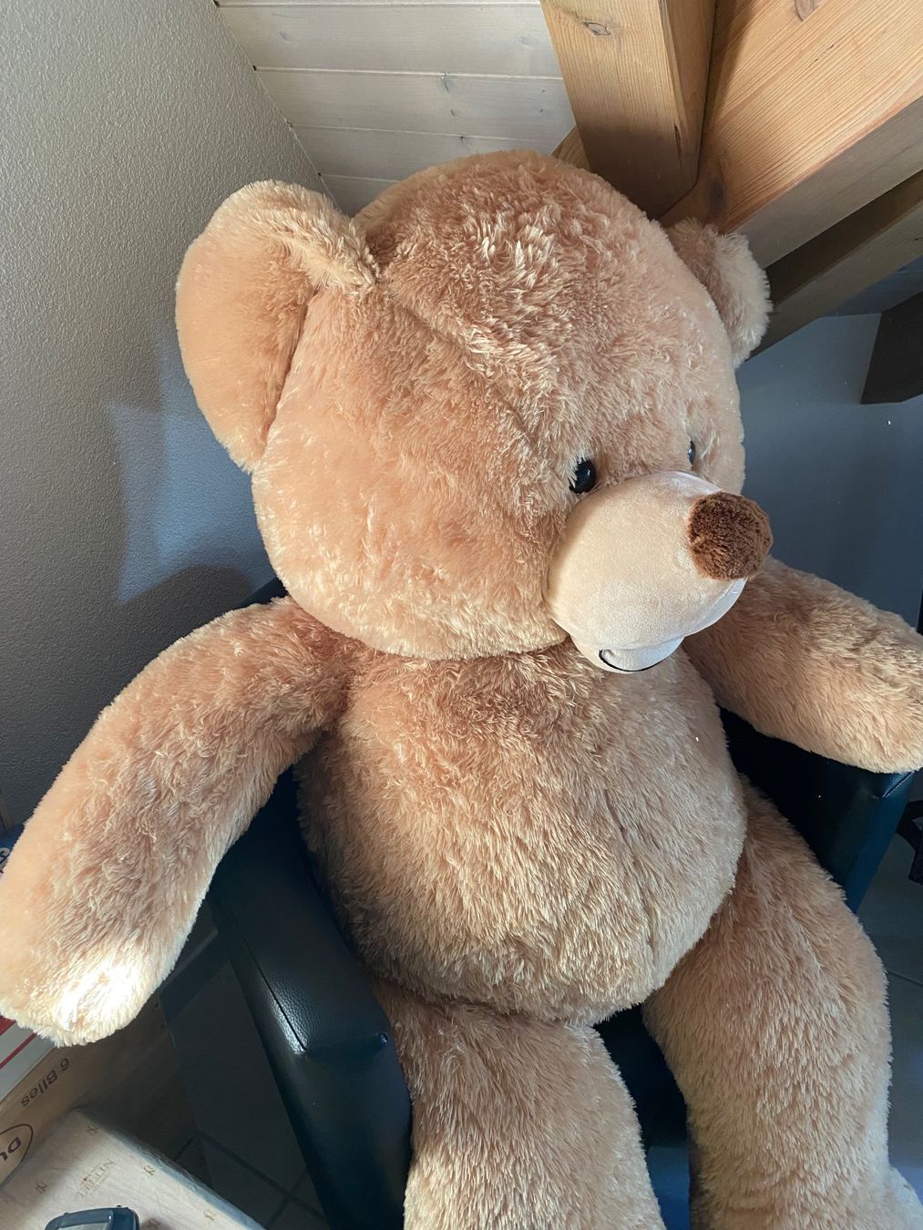 Giocattoli: Riesen Teddybär XL Teddy – Nuovo (secondo la descrizione) da Wohlen AG venduto da PrivatSammlung 1