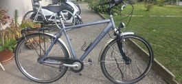 Falter Deutschland 55cm 28 Zoll