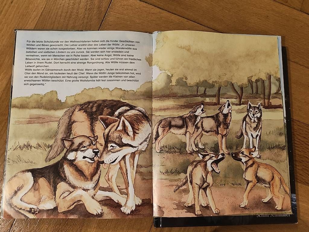 Libri: Grosse Kinderbücher – Usato da Zürich venduto da jeu_szl9 3