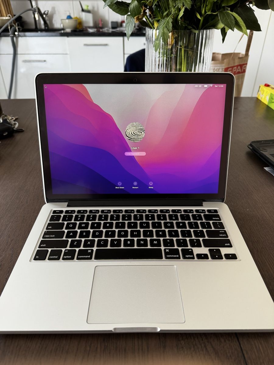 Apple Notebook: MacBook Pro 2015 – Usato da Zürich venduto da nik_5cpf 2