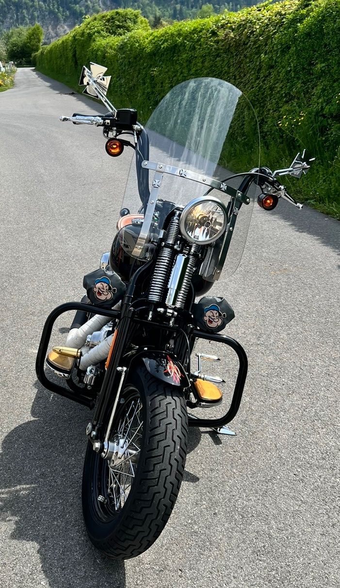 Chopper: Harley Davidson Crossbones – Usato da Sevelen venduto da Ritiplampi 4